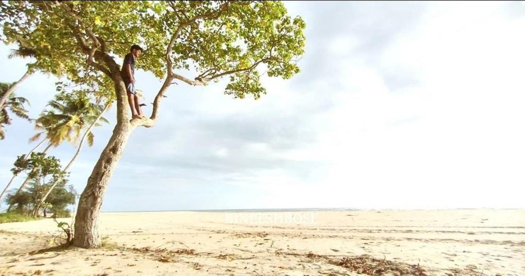 Marari Beach Pearl Homestay Mararikulam Eksteriør billede