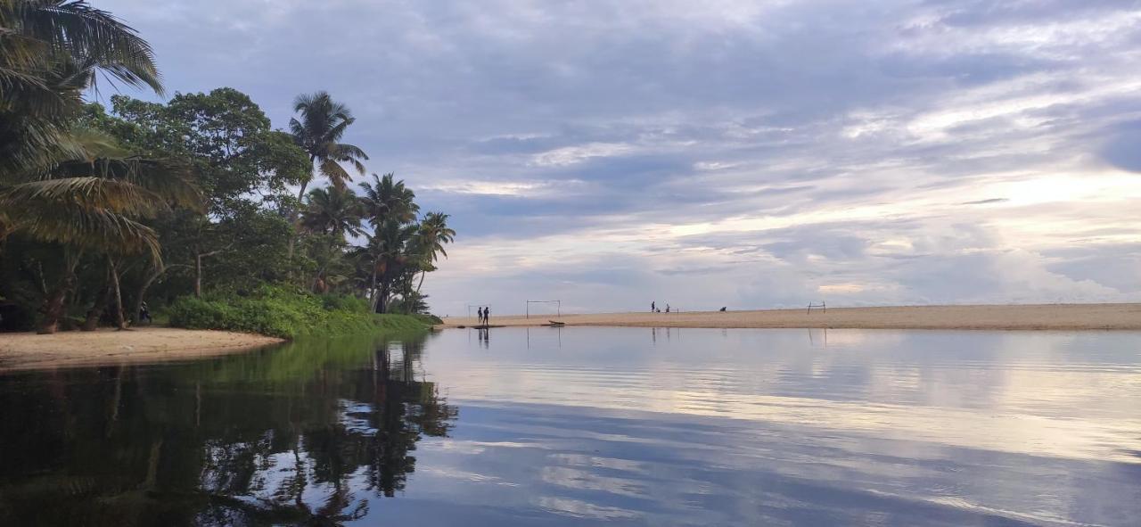 Marari Beach Pearl Homestay Mararikulam Eksteriør billede